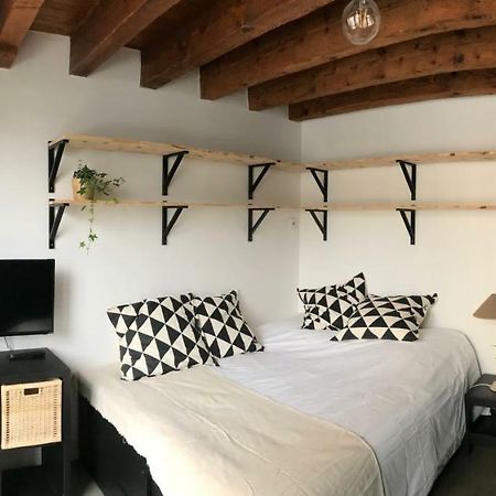 Le Studio Du Moulin Apartment Chambery Luaran gambar