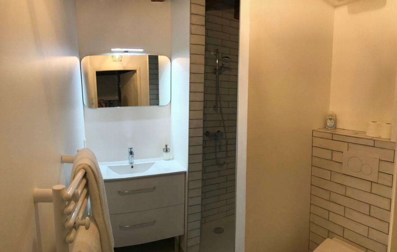 Le Studio Du Moulin Apartment Chambery Luaran gambar